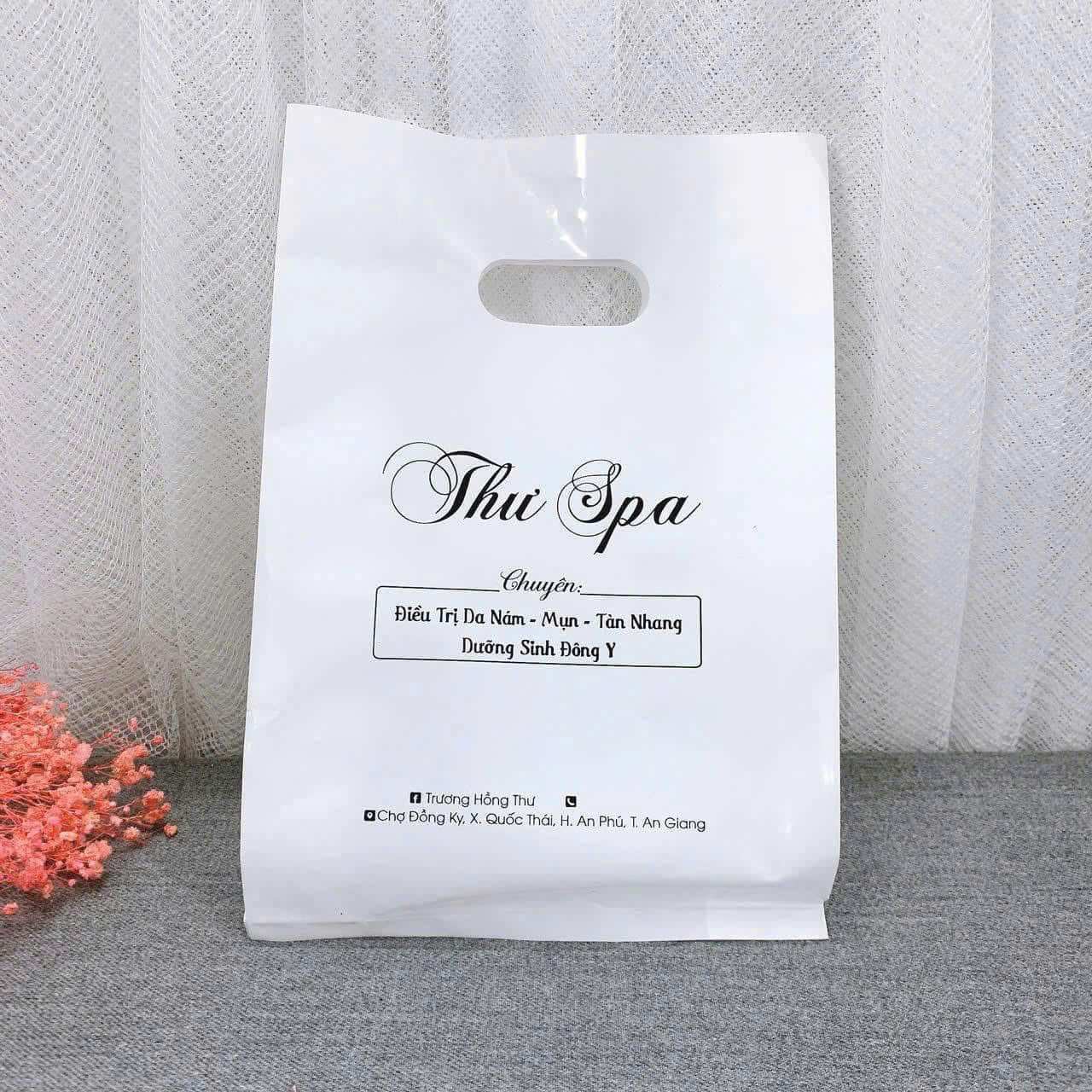 Mẫu túi ni lông đơn giản